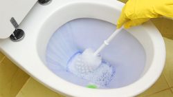 Para limpiar el inodoro puede usarse algún detergente o producto especial para ello.